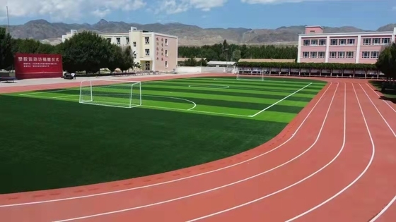 International Standard PU Athletic Rubber Running Track 13mm